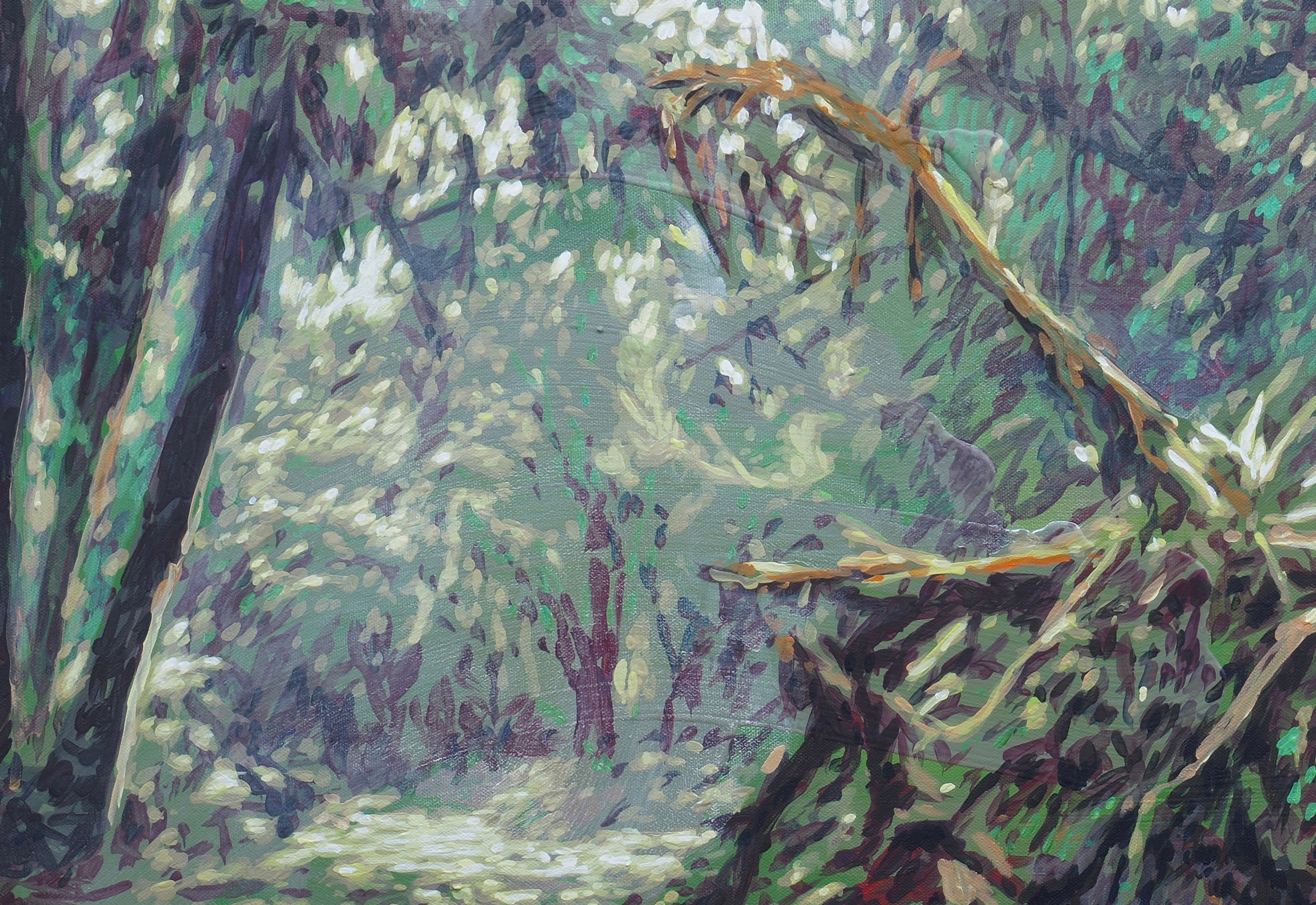 A path to a fallen tree – 67 York Street Gallery