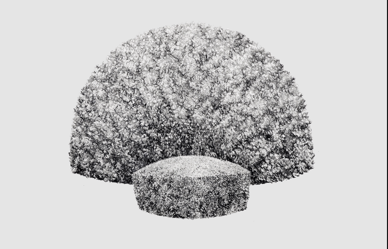 Plantasia: 27th - 29th November 2025